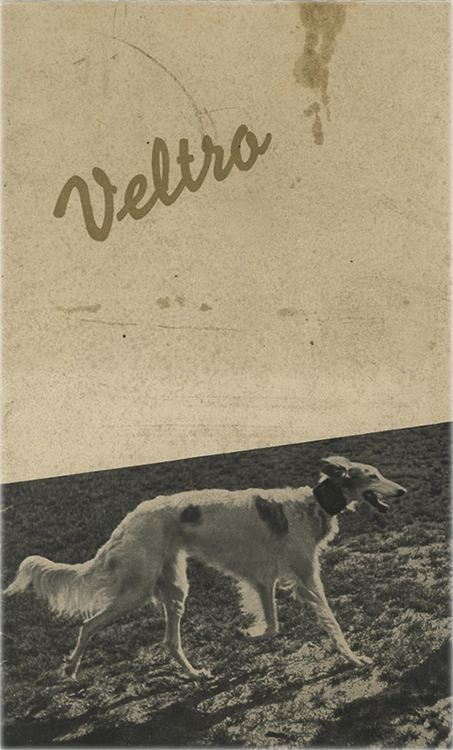 Specimen Veltro, di R. Bertieri; H. Brünnel; A. Butti; G. da Milano; A. Novarese per Nebiolo, pubblicato nel 1955.